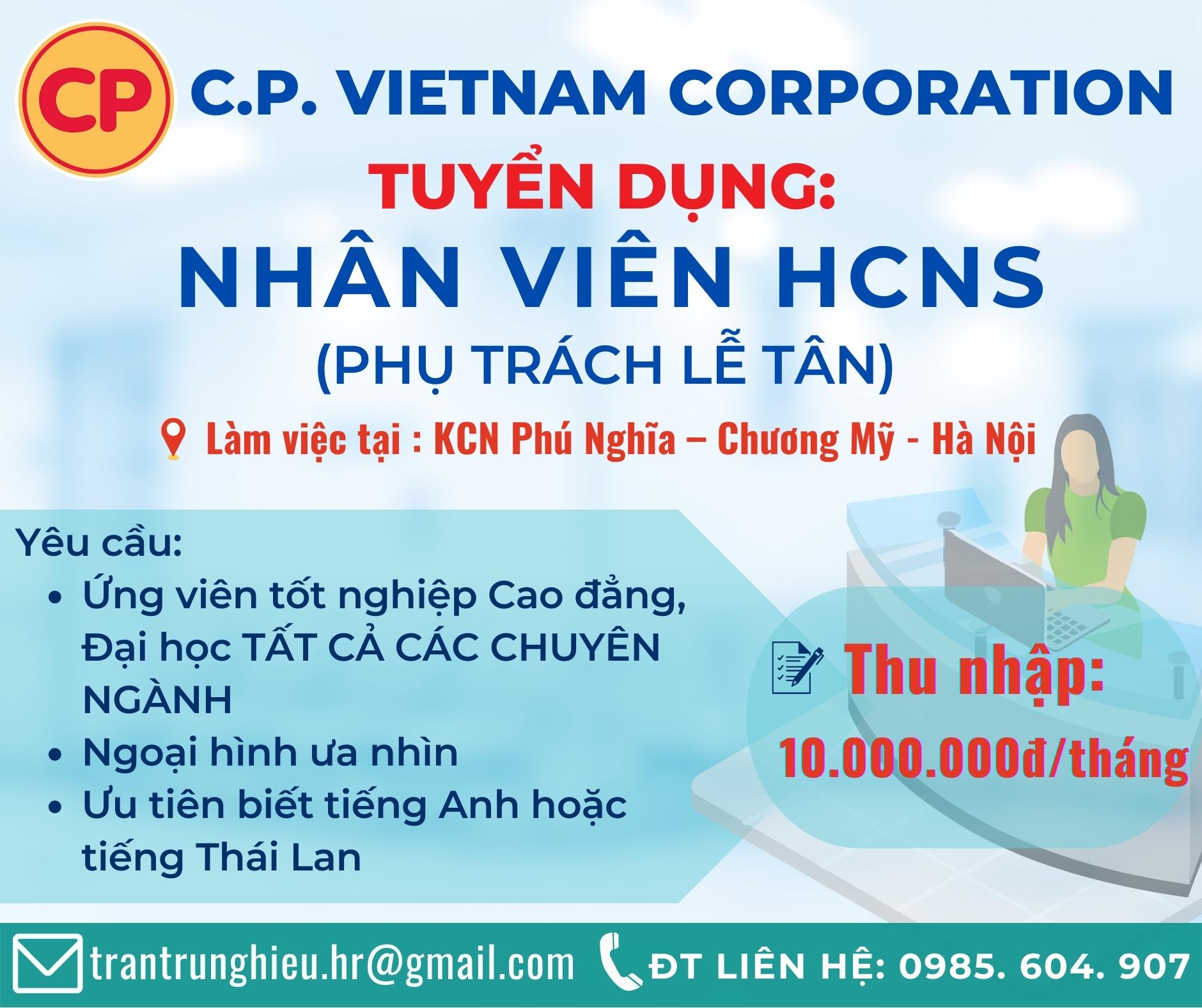 lĩnh vực hoạt động
